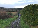 sentier intérieur cote